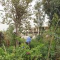 قسم البيئة والخدمات في بلدية الشعب تقوم بحملات تنظيف وترميم الحدائق في الطبقة