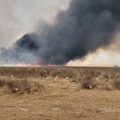 هيئة الإقتصاد والزراعة تحصر إجمالي أضرار حرائق الحقول مع مراسلنا عبد الرزاق في الرقة