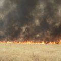 استطلاع رأي بريف الرقة حول حريق الاراضي الزراعي وأسبابها وكيفية التعامل معها
