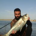 الوضع الحالي للثروة السمكية وصيد الأسماك في دير الزور مع مراسلنا باسم عزيز