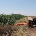 مشروع دعم مزارعي القمح في منطقة الجرنية مع محمود المبروك