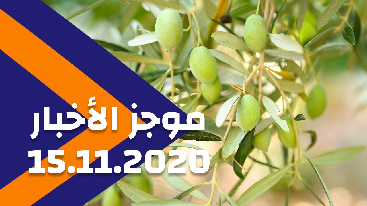 موجز الأخبار 15/11/2020