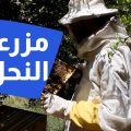 مزرعة النحل 🐝
