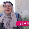 مربية النحل