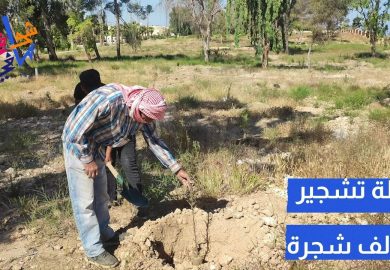 حملة تشجير 50 ألف شجرة